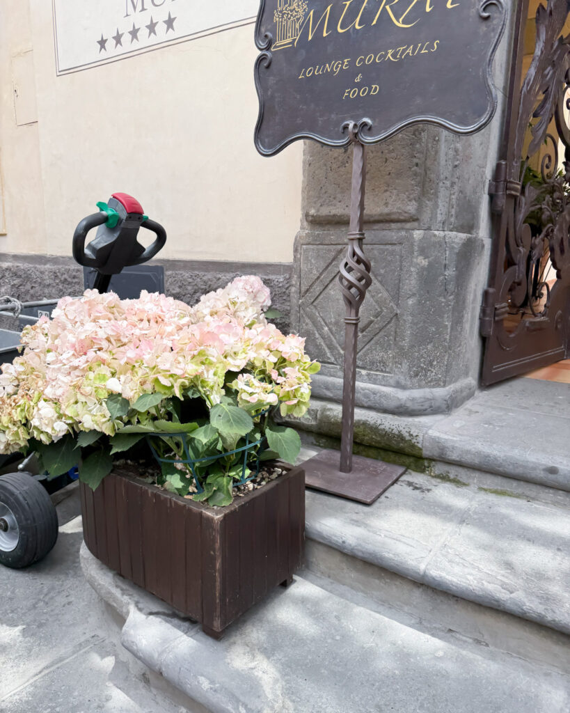 What We Did on Our Disney Cruise Italy Trip
