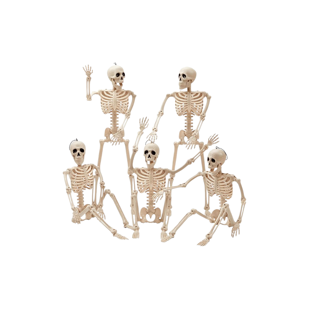 White skeleton decor