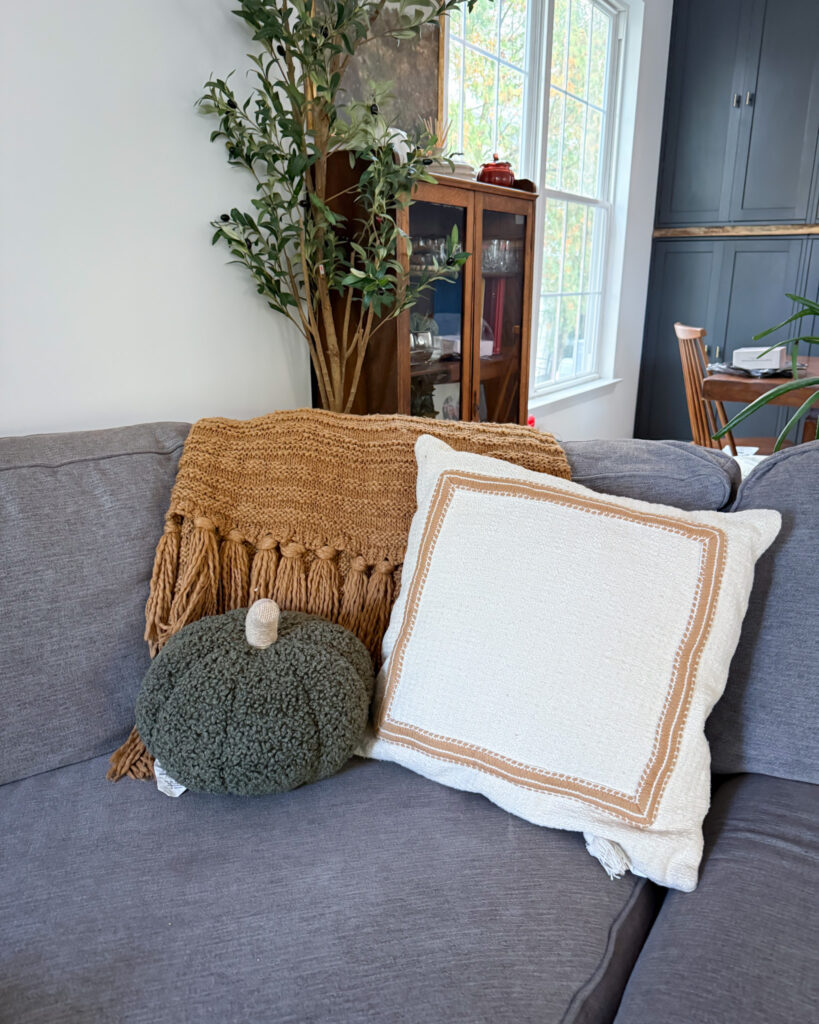 IMG_4399 - Sweet Motherly Living room corner with rust throw blanket, textured neutral pillow, and decorative green pumpkin on gray sofa