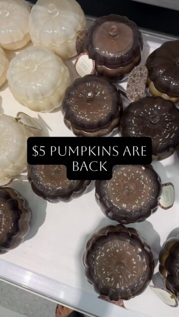 🎃 Target’s $5 pumpkin candles are back.

Last year these were gone by October. Empty shelves, no restock.

🛒 They smell like a $30 candle, and at five bucks you can grab a few without thinking twice.

I burn pumpkin from now until Thanksgiving, then I’m fully switched over to Christmas. So this is basically my whole fall candle season for under $20.

If you want one, don’t wait on it 🍂

💬 Comment PUMPKIN and I’ll send you the link!

Fall home decor finds | Target fall decor 2026 | affordable pumpkin candles | Target deals under $10 | cozy fall home on a budget

 #FallDecor #pumpkincandle #FallHomeDecor #BudgetHomeDecor #TargetFallDecor